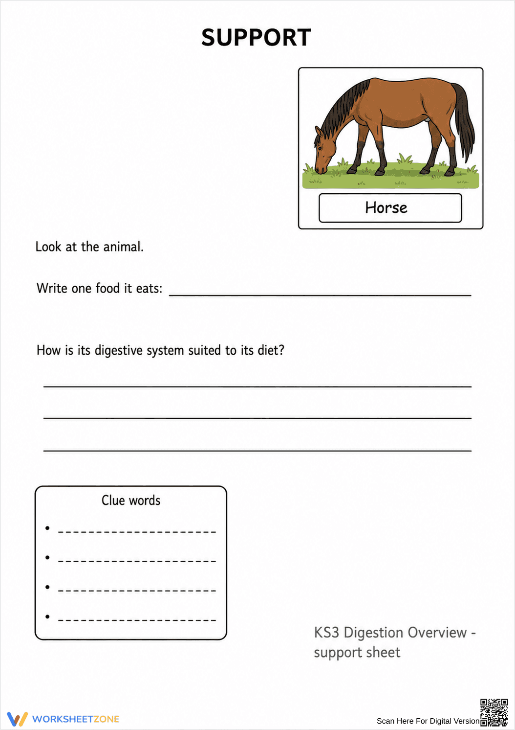 Digestive System Worksheet (3 Levels) | Grade 7 Ready - Page 4