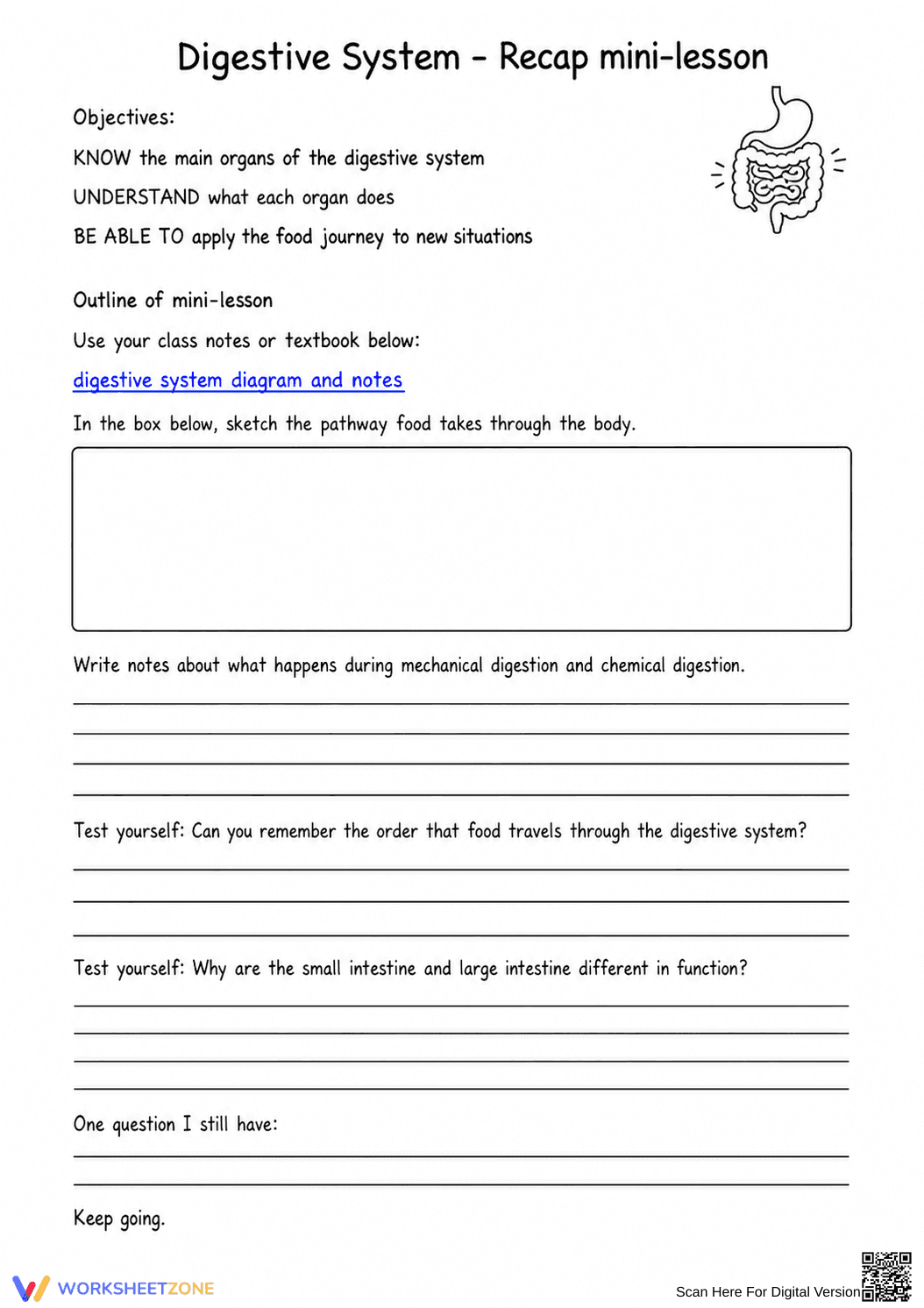Digestive System Worksheet (3 Levels) | Grade 7 Ready - Page 6