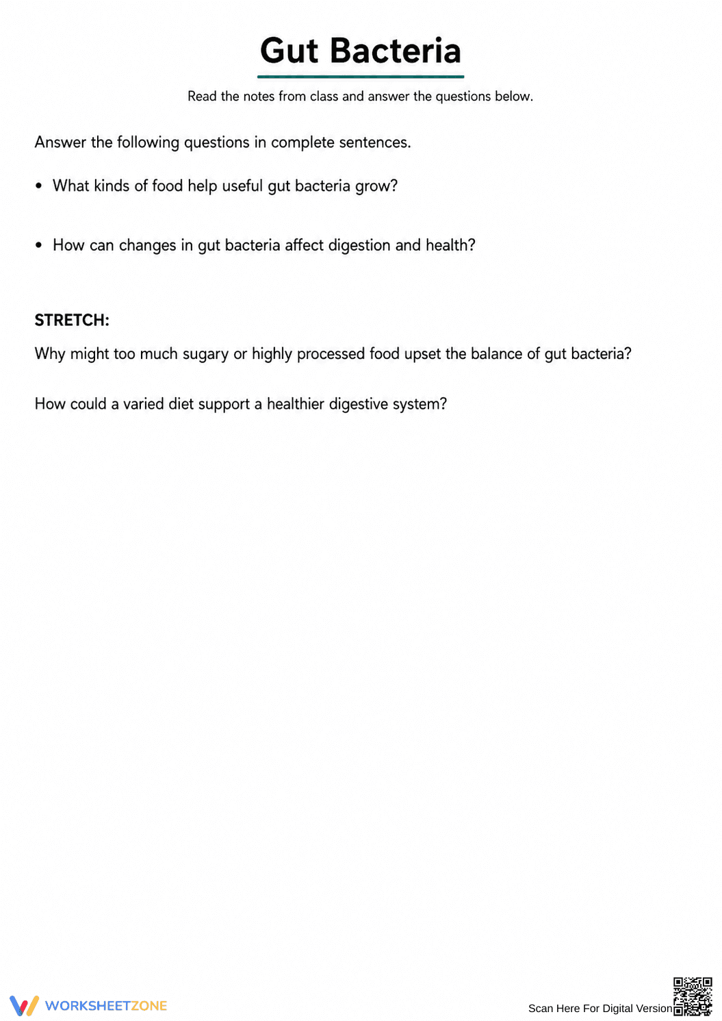 Digestive System Worksheet (3 Levels) | Grade 7 Ready - Page 10