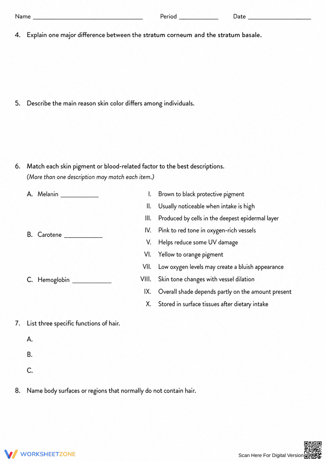 Essential Integumentary System Review | HS Biology Ready - Page 2