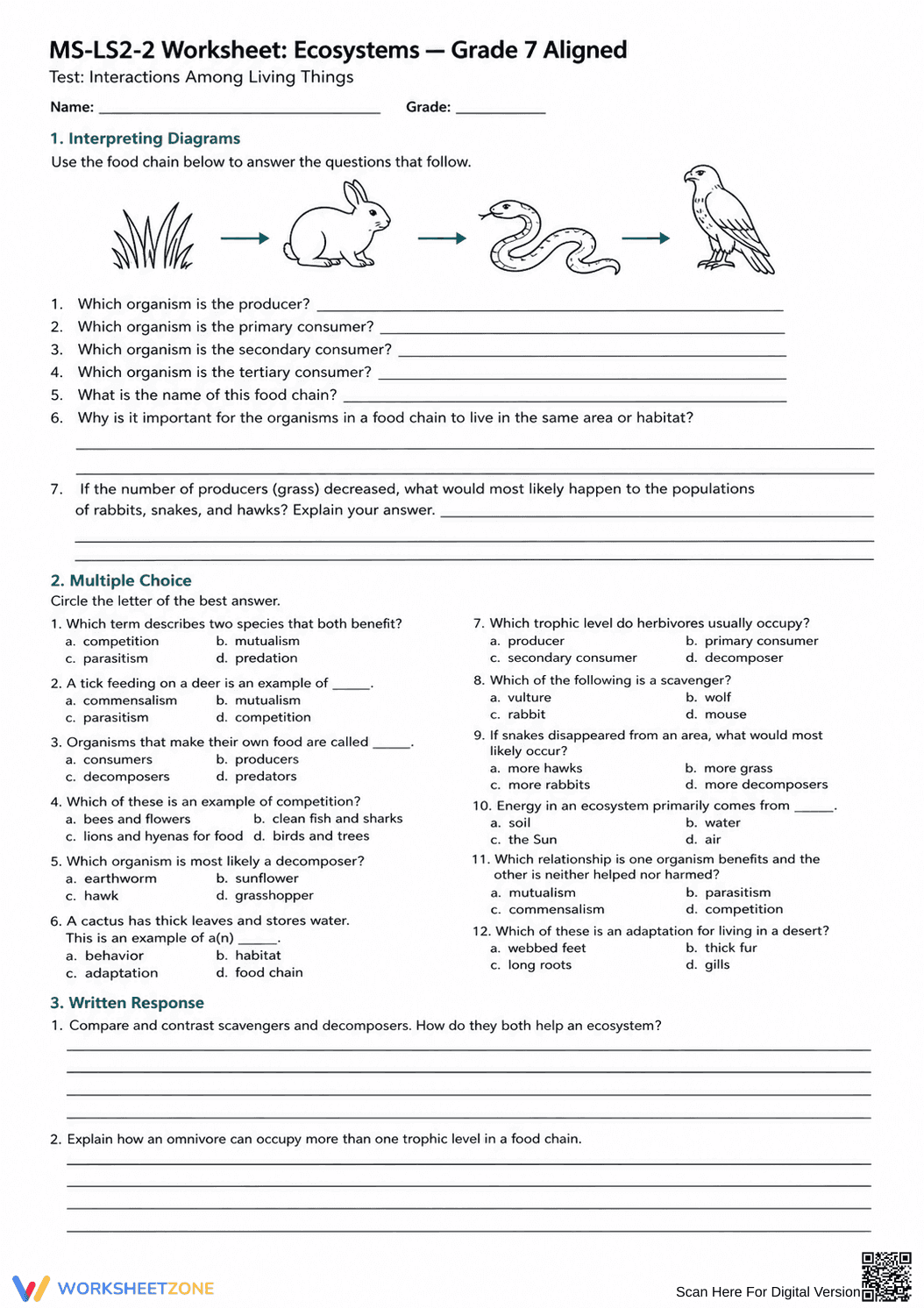 MS-LS2-2 Worksheet: Ecosystems — Grade 7 Aligned - Page 4