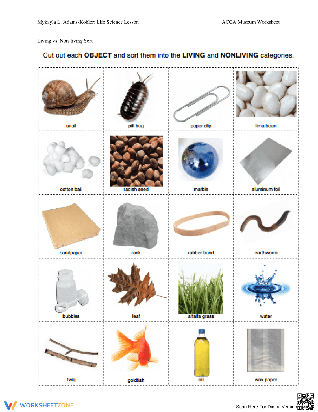 Living vs. Non-Living Worksheet | Grade 3 Essential - Page 6