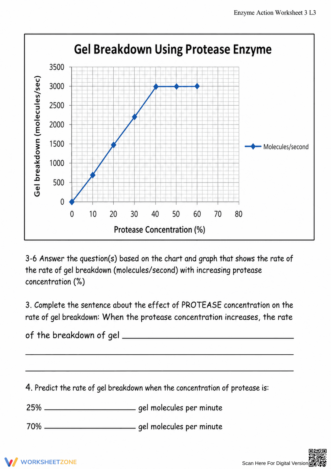 Printable Enzyme Action Worksheet (3 Levels) | Grade 8 - Page 3