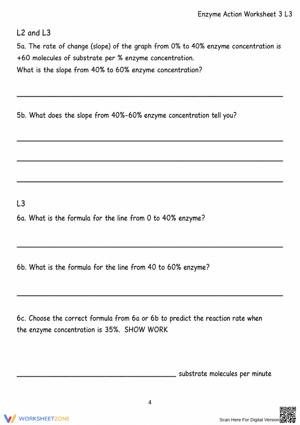 Printable Enzyme Action Worksheet (3 Levels) | Grade 8 - Page 4