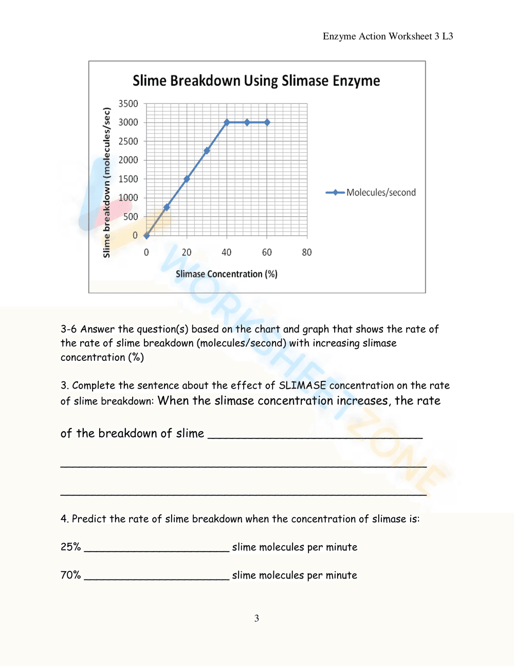MiSP Enzyme Action Worksheet - Page 3