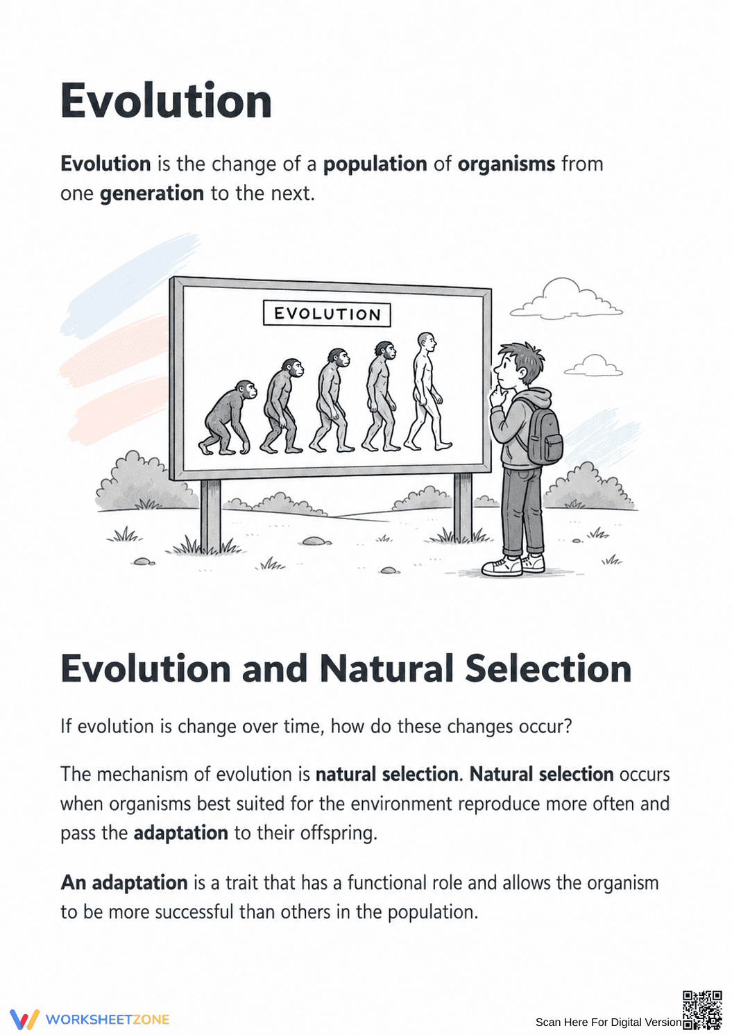 Grade 7 Natural Selection — Printable No-Prep Worksheet - Page 3