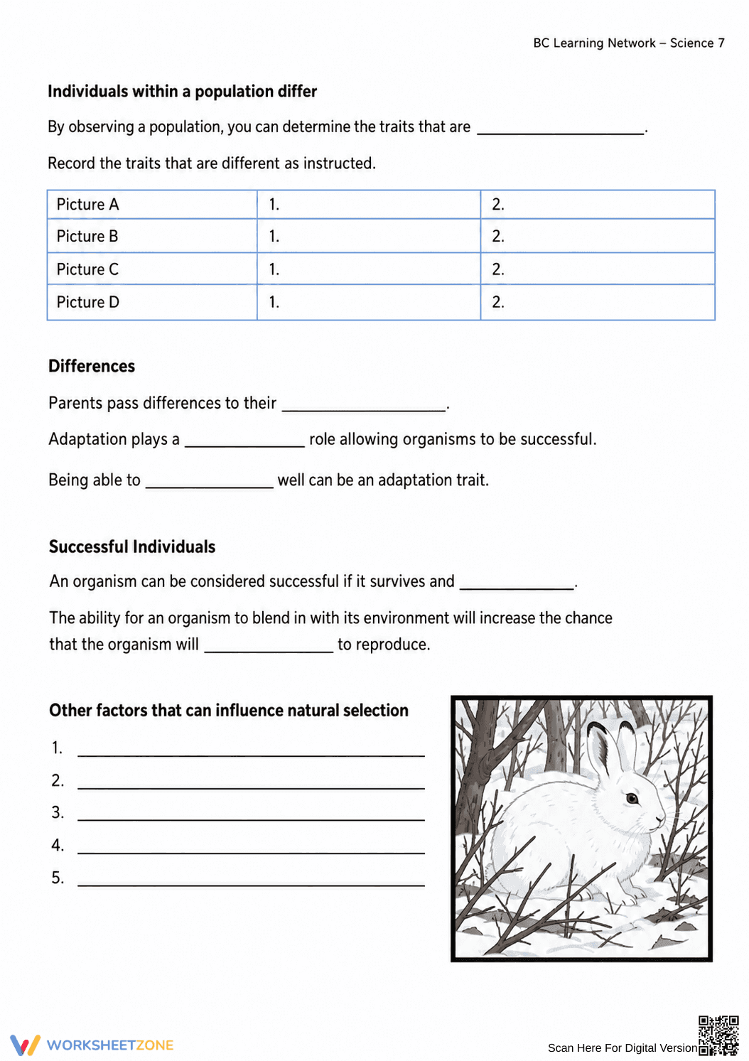 Grade 7 Natural Selection — Printable No-Prep Worksheet - Page 10