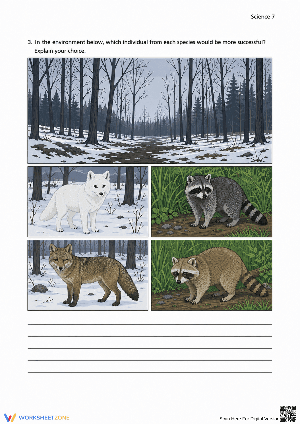 Grade 7 Natural Selection — Printable No-Prep Worksheet - Page 12