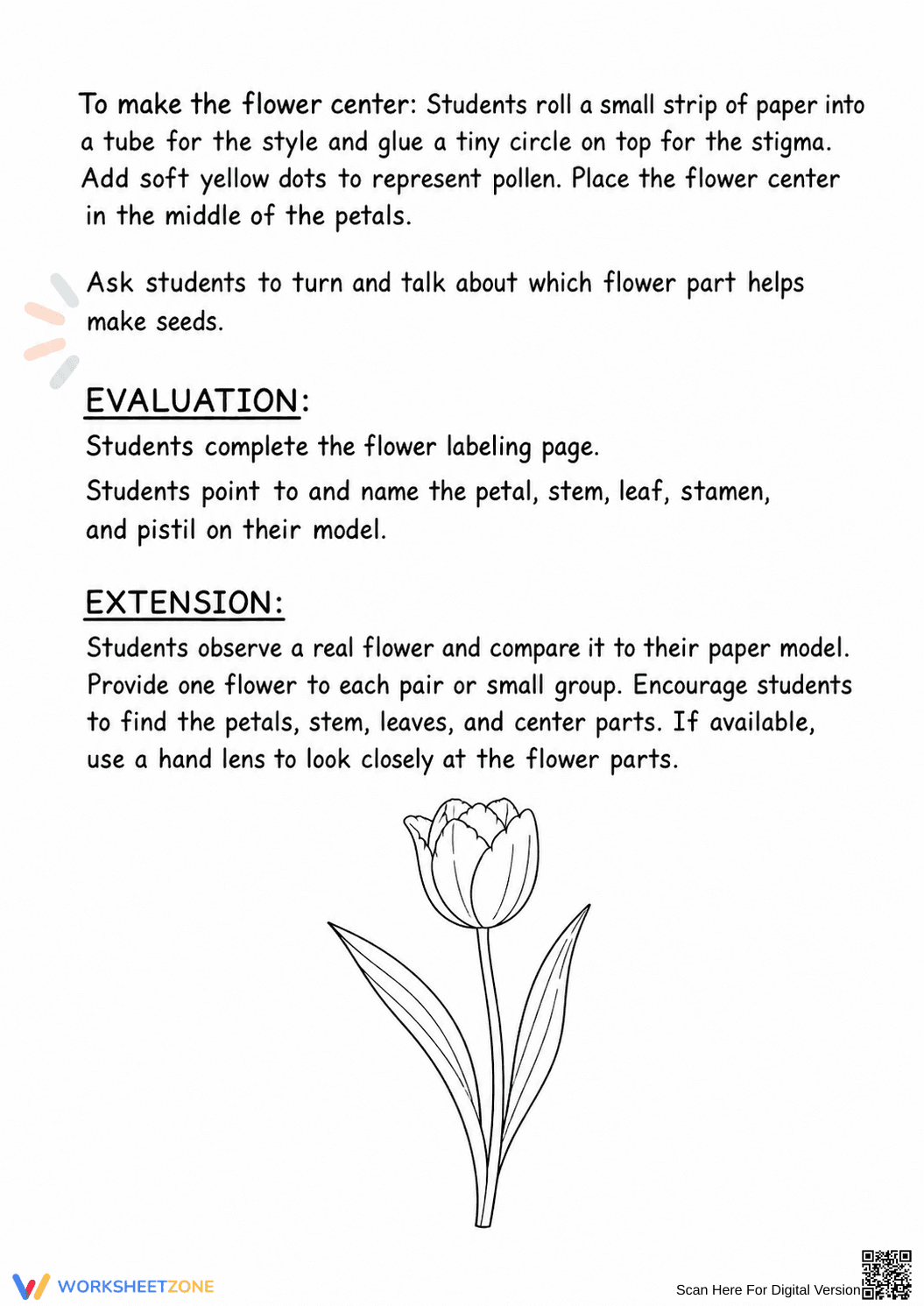 2-LS2-2 Worksheet: Essential Parts of a Flower — Grade 2 - Page 4