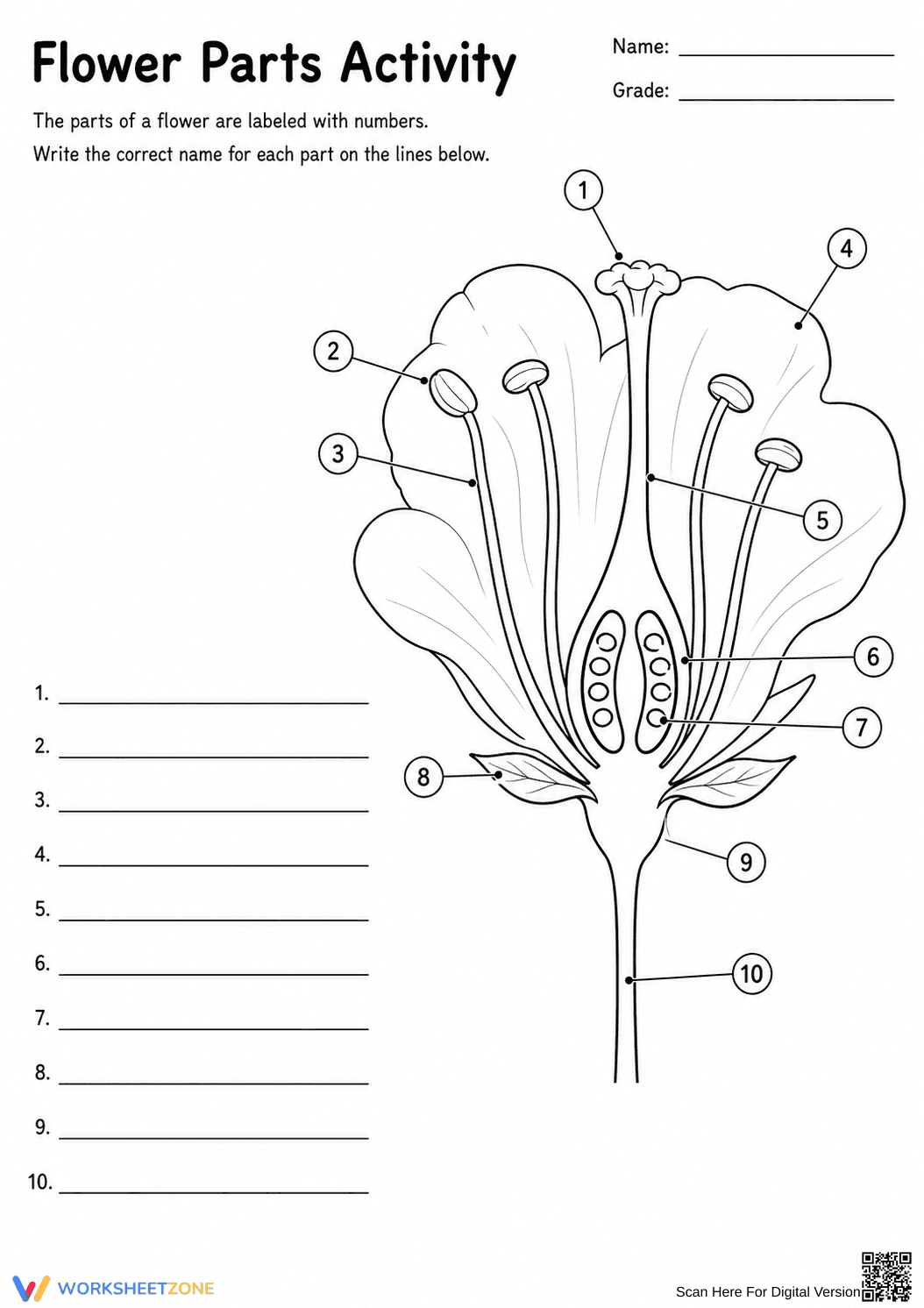 2-LS2-2 Worksheet: Essential Parts of a Flower — Grade 2 - Page 5