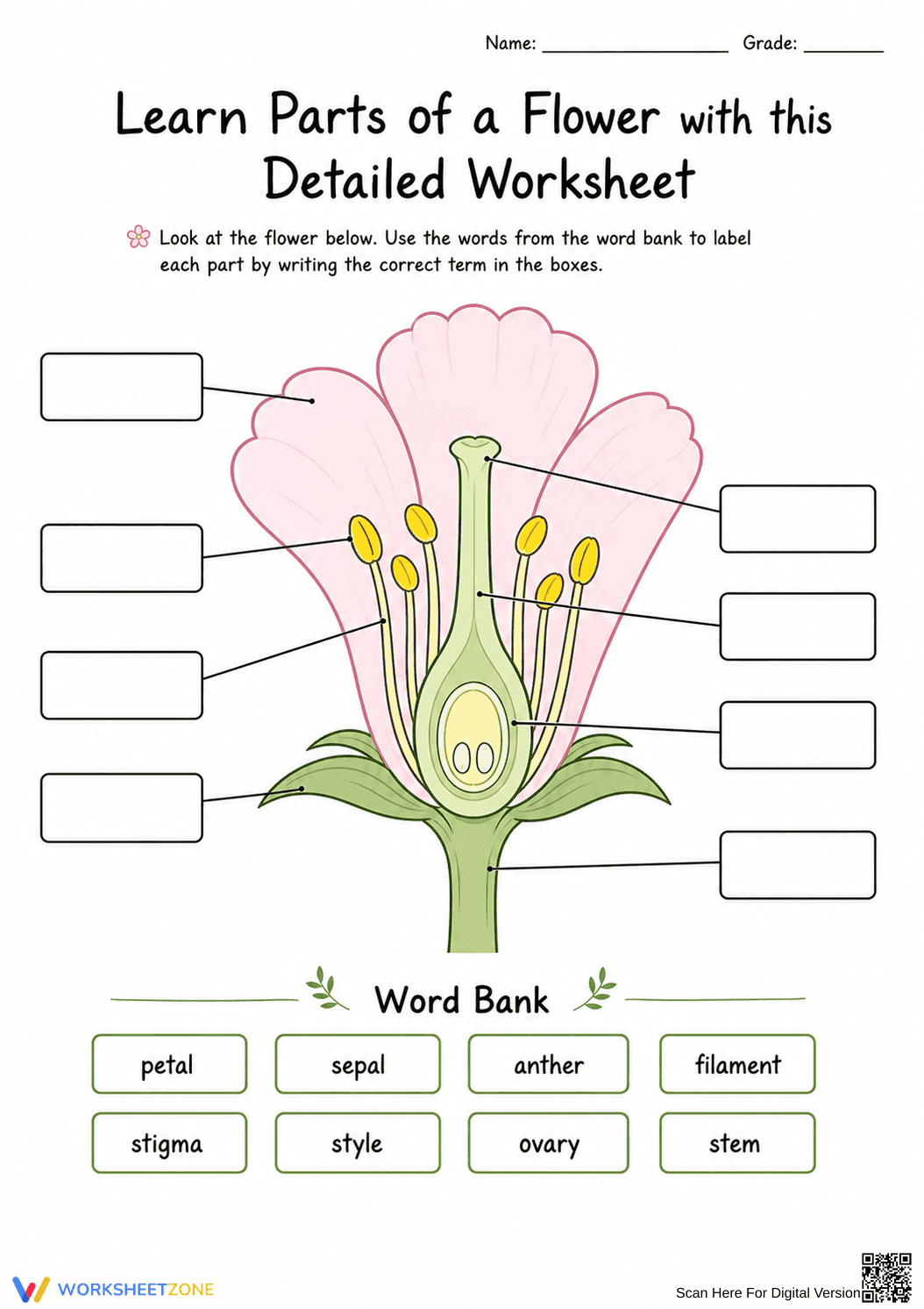 Parts of a Flower Worksheet | Essential Grade 1-2 Science - Page 2