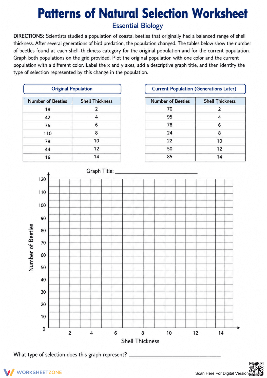 Essential Natural Selection Worksheet | Grade 9-12 - Page 4
