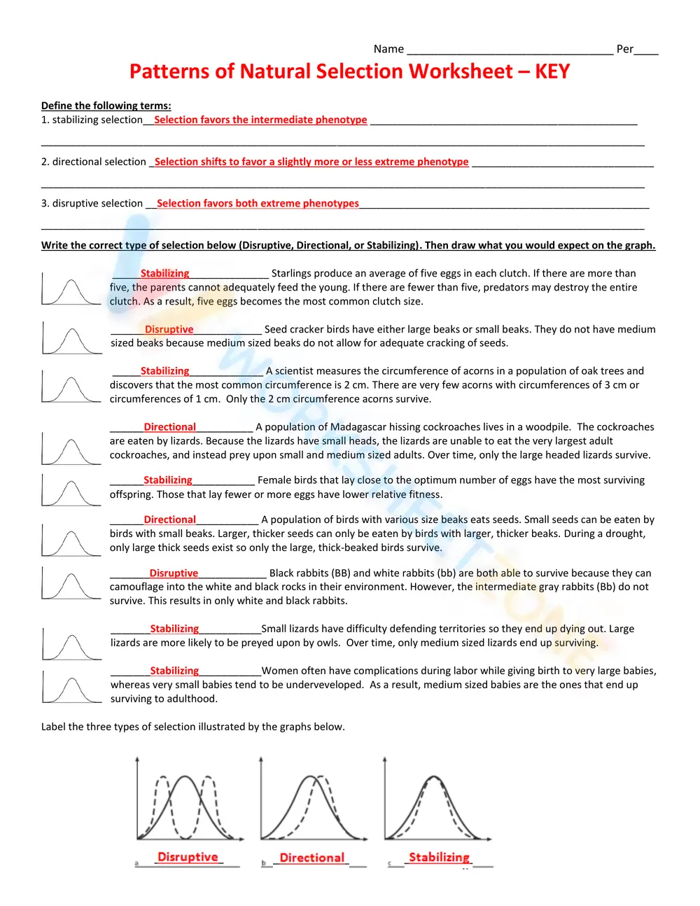 Patterns of Natural Selection Worksheet | Essential Biology - Page 3