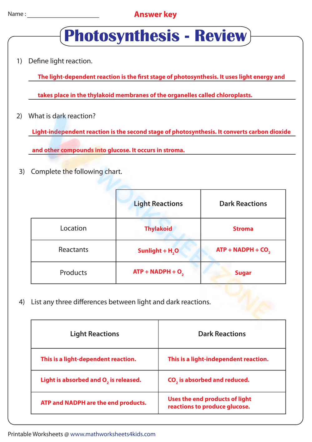 Photosynthesis Review Worksheet | Grade 9-12 Printable - Page 2