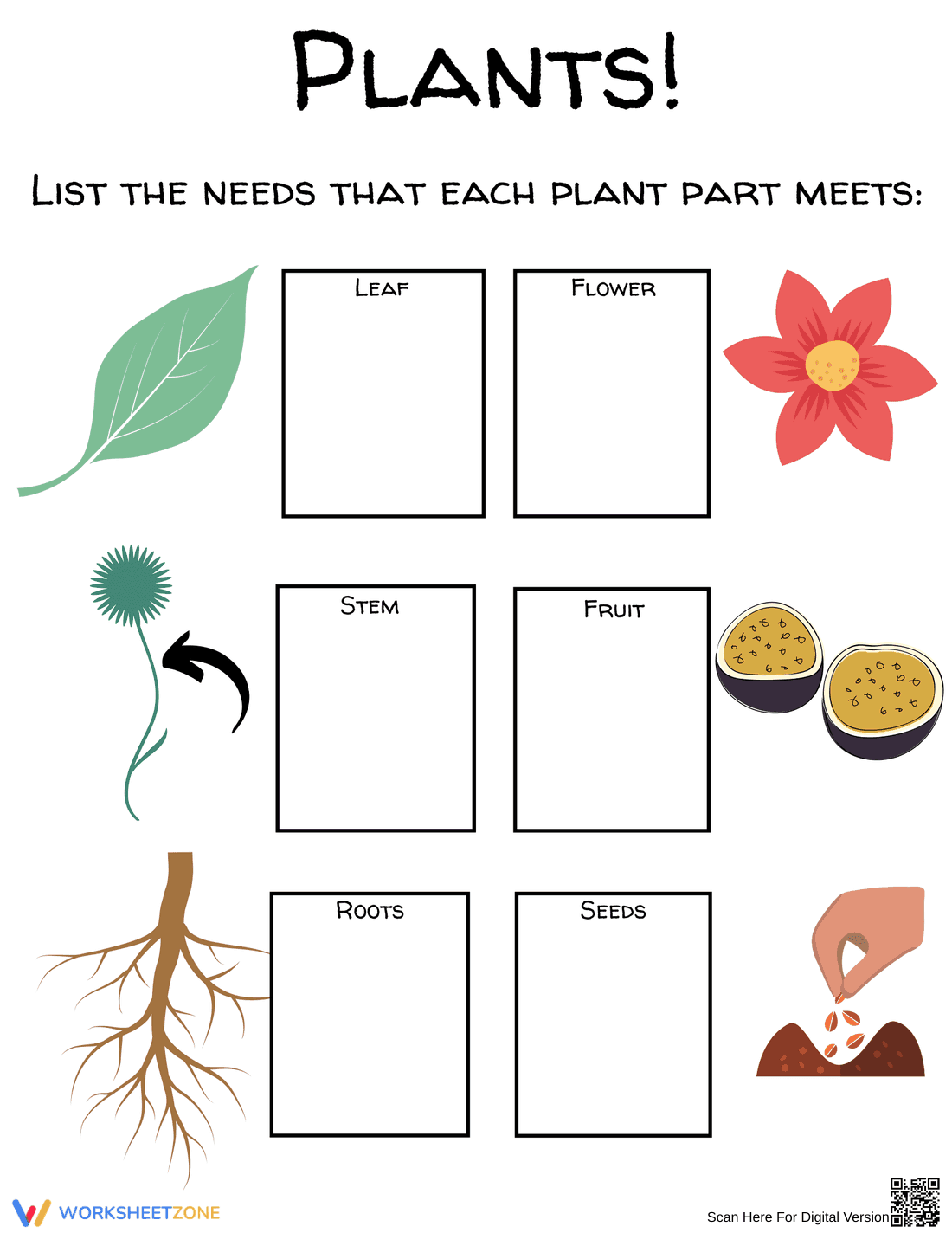 Planting and Plant Parts Worksheet | Grade 1 Essential - Page 2