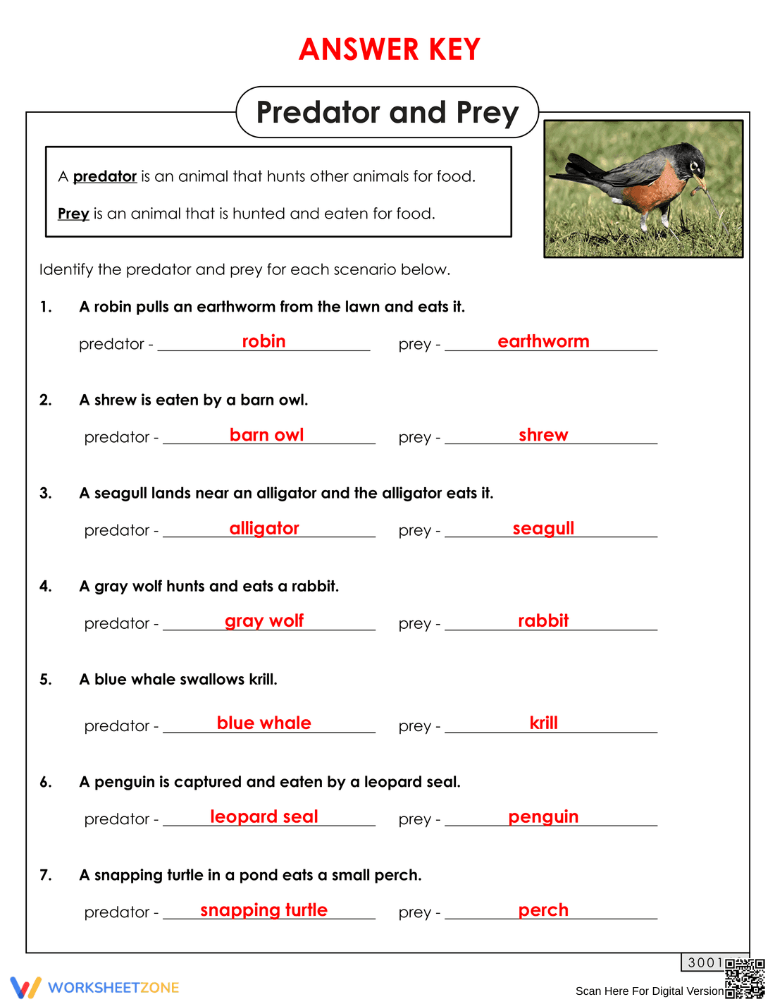 Predator and Prey Worksheet | Grade 4 Essential Science - Page 2