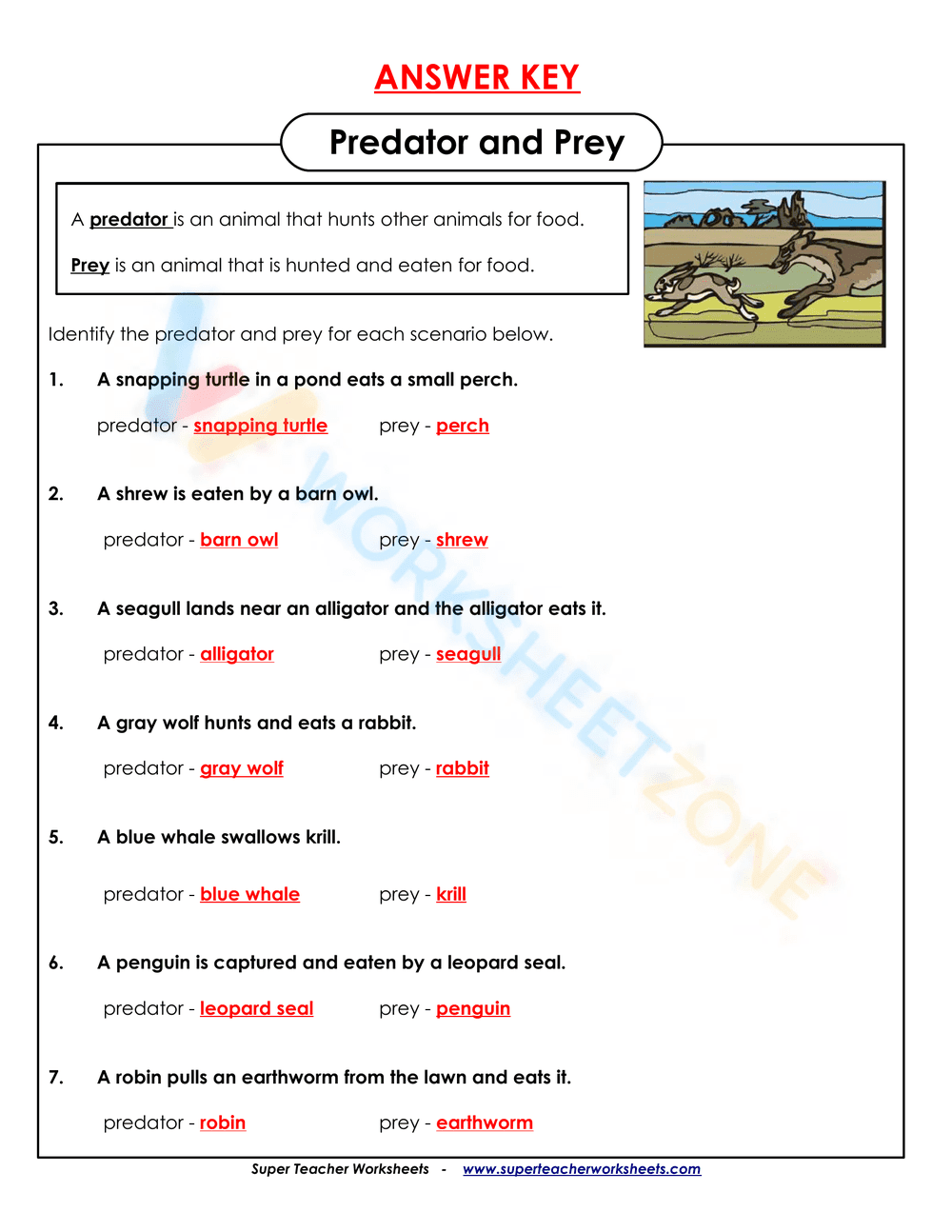 Predator and Prey Worksheet | Grade 4 Essential Science - Page 2