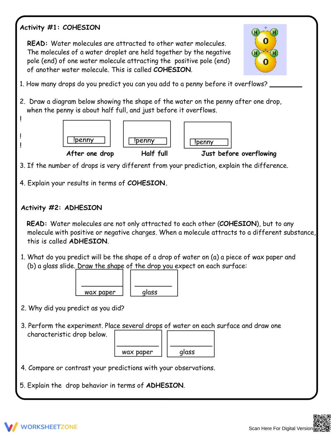 Properties of Water Activity Worksheet - Page 2