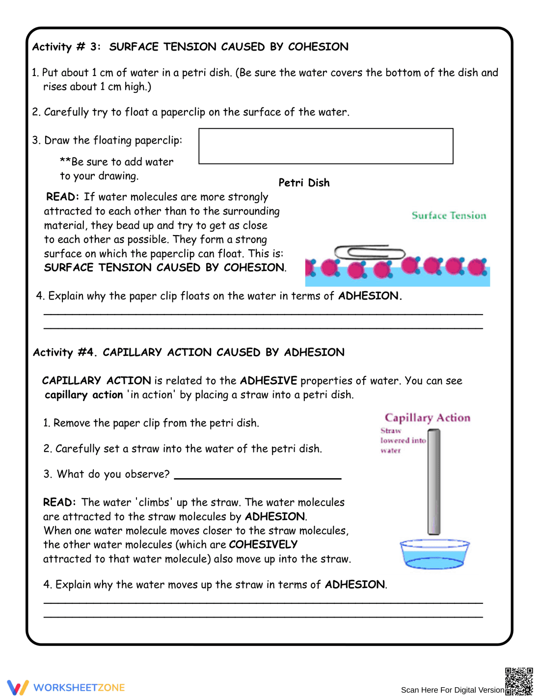 Properties of Water Activity Worksheet - Page 3