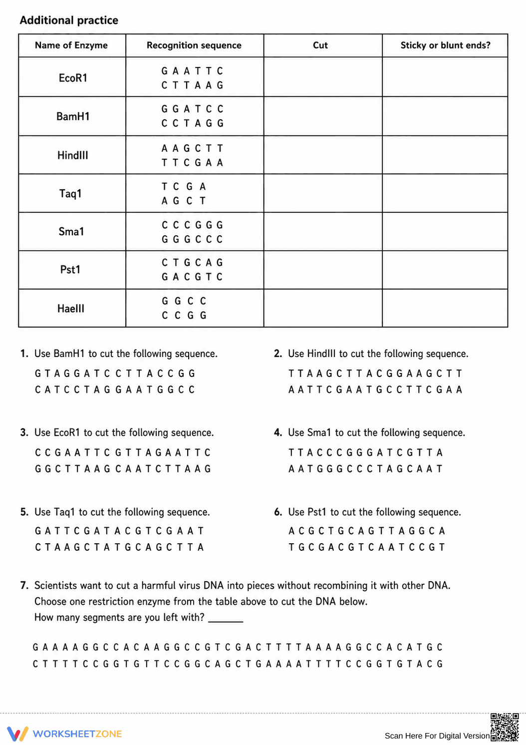 Restriction Enzyme Worksheet | Essential Biology Practice - Page 2