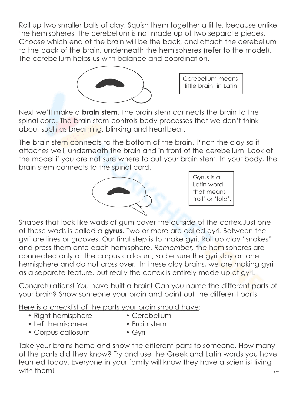 Nervous System Unit Booklet | Grade 4 Science Printable - Page 15