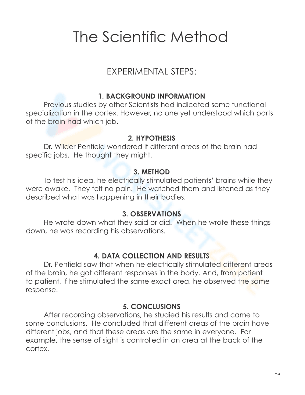 Nervous System Unit Booklet | Grade 4 Science Printable - Page 23