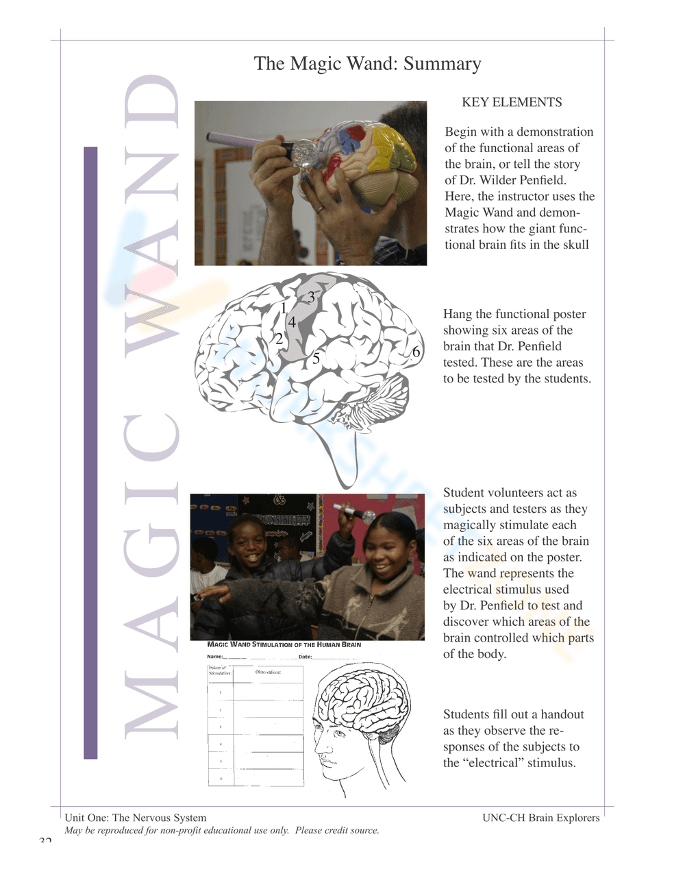 Nervous System Unit Booklet | Grade 4 Science Printable - Page 30