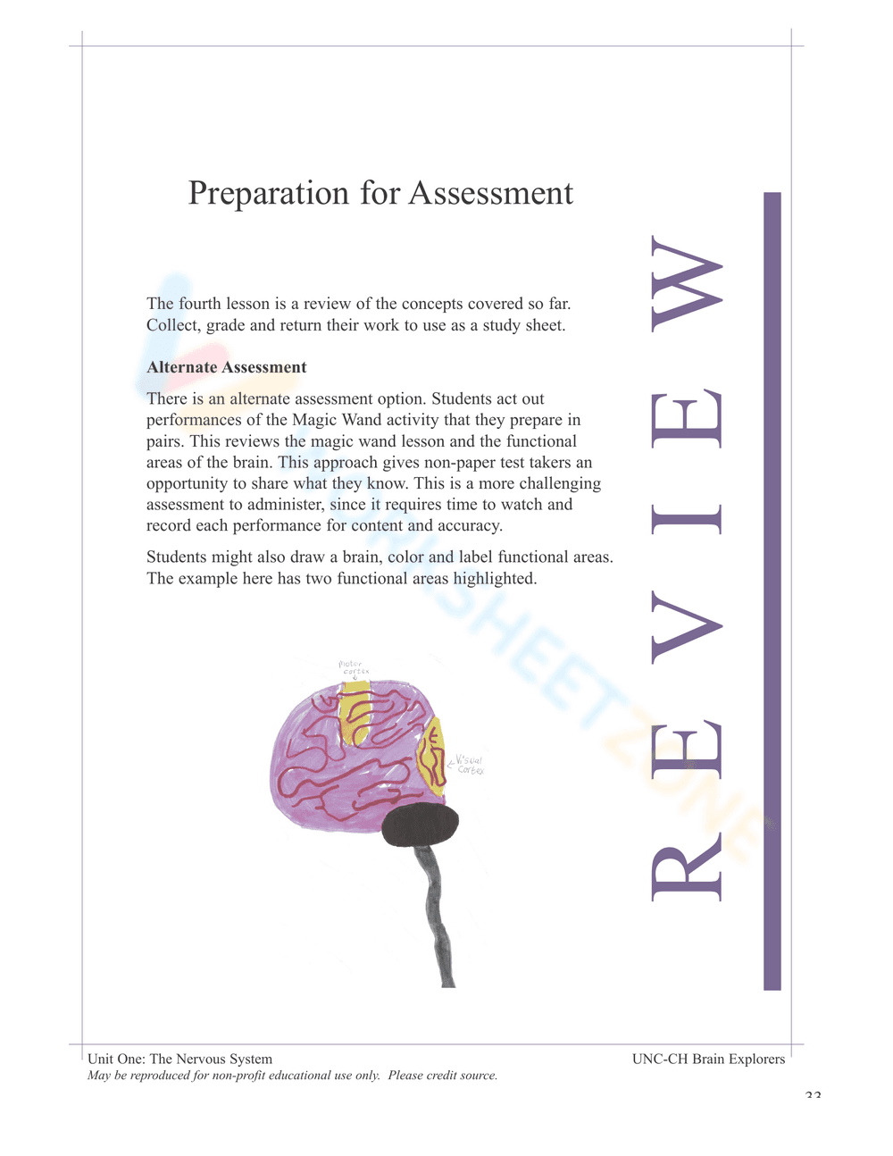 Nervous System Unit Booklet | Grade 4 Science Printable - Page 31