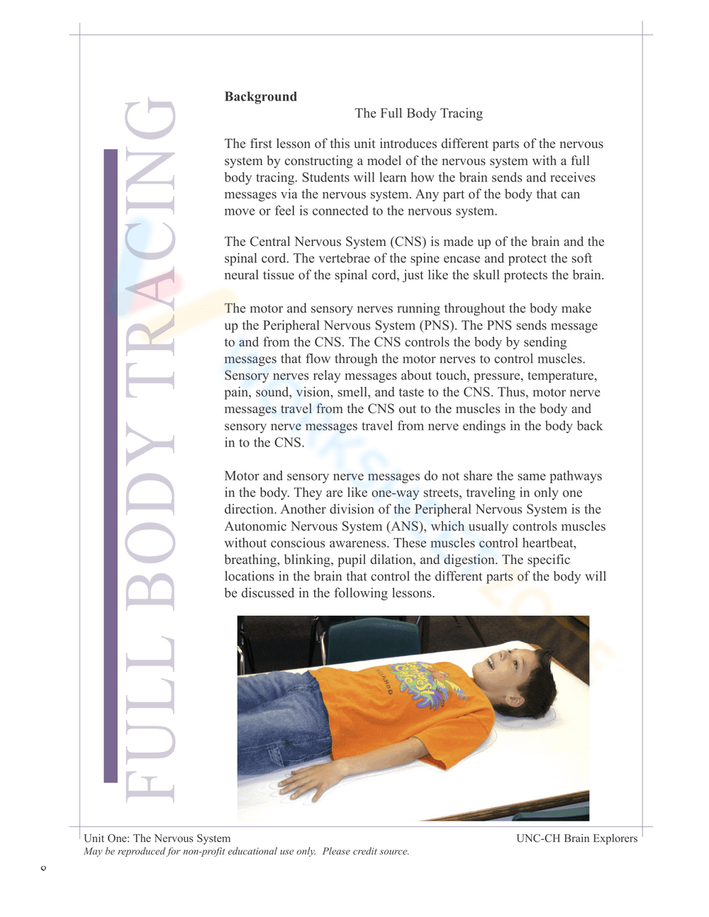 Nervous System Unit Booklet | Grade 4 Science Printable - Page 6