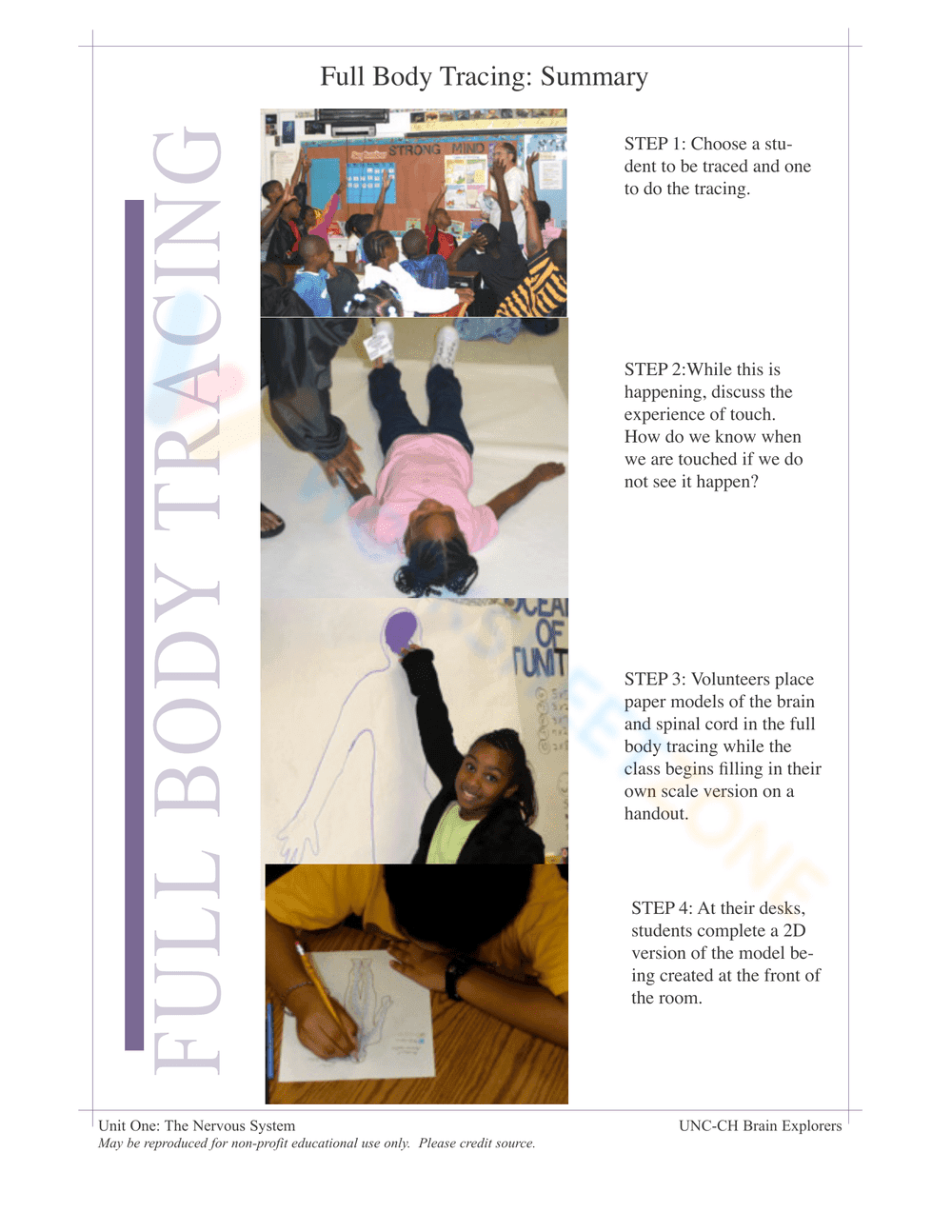 Nervous System Unit Booklet | Grade 4 Science Printable - Page 8
