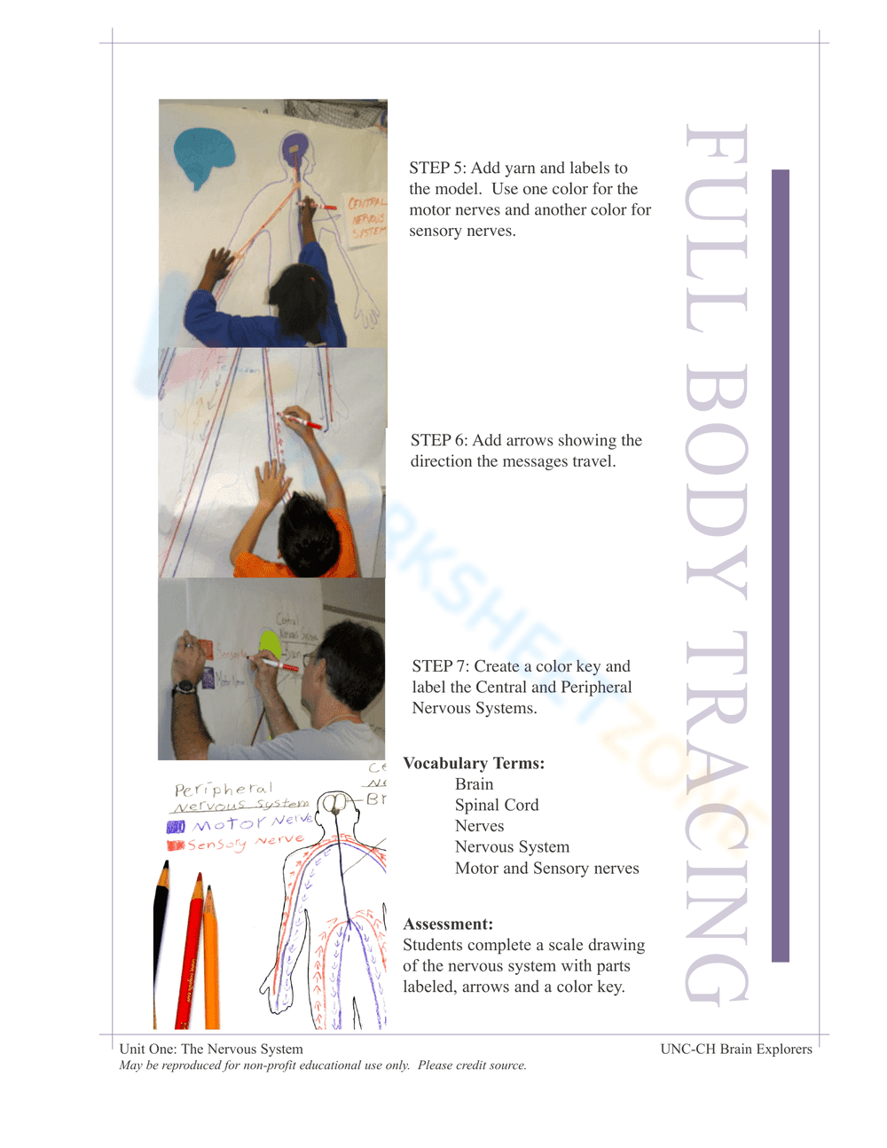 Nervous System Unit Booklet | Grade 4 Science Printable - Page 9