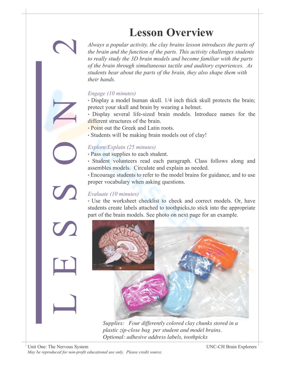 Nervous System Unit Booklet | Grade 4 Science Printable - Page 10