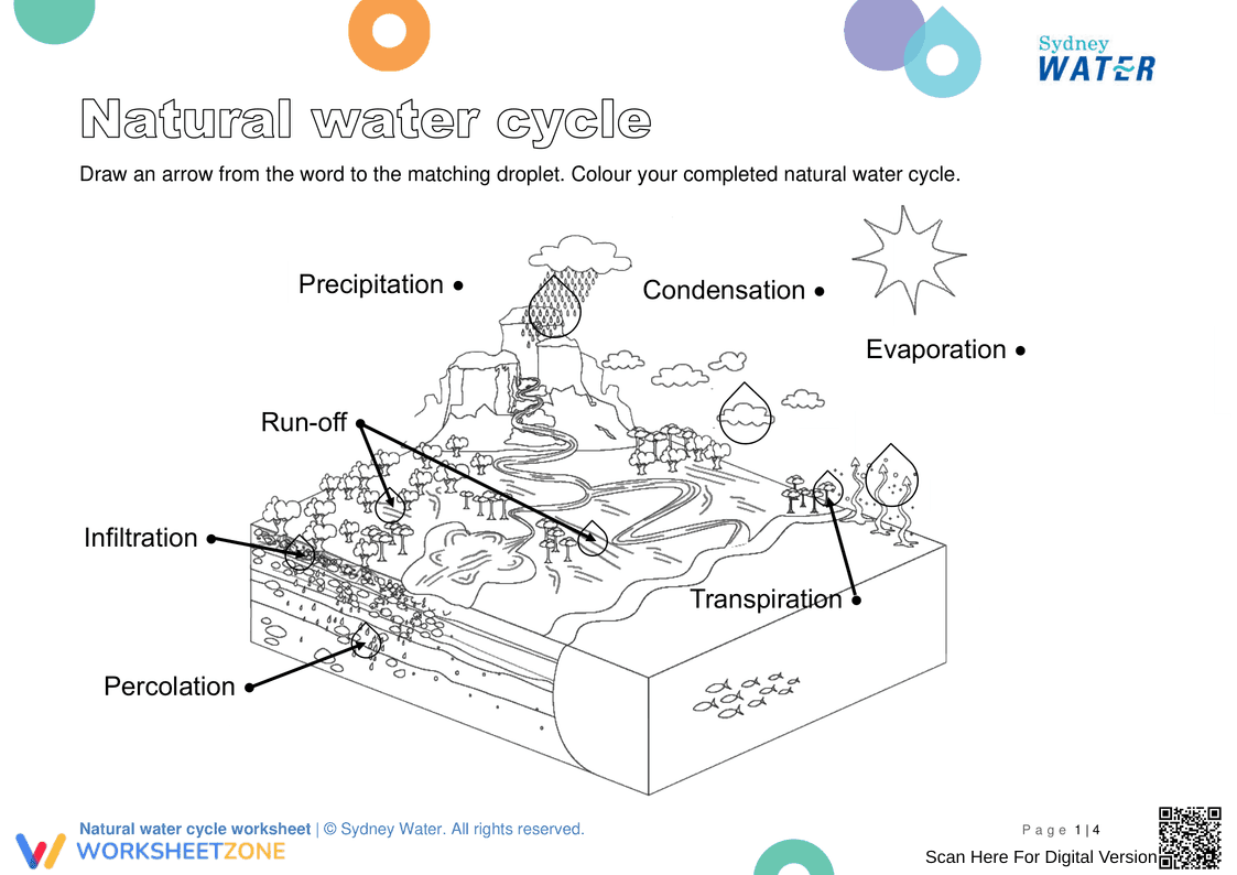 Essential Water Cycle Pack | Grade 2 Science Printable - Page 2