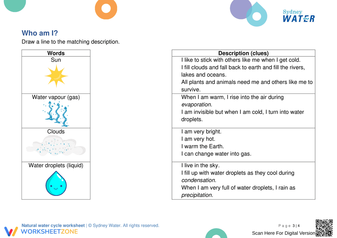 Essential Water Cycle Pack | Grade 2 Science Printable - Page 4