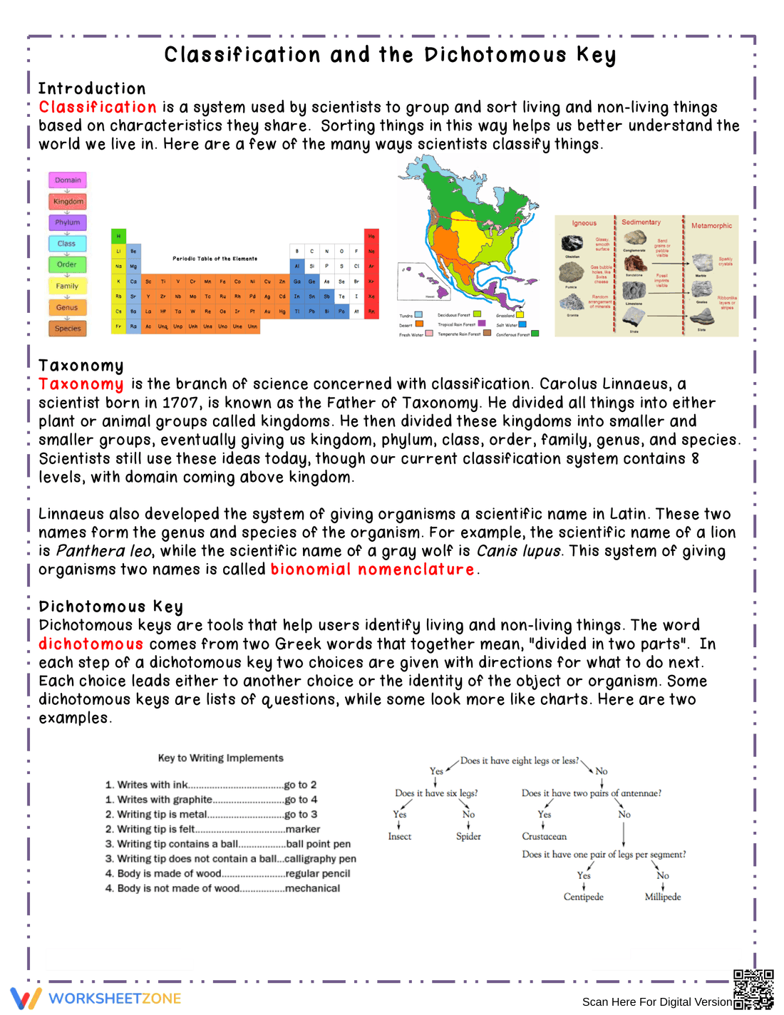 Grade 6-8 Dichotomous Key — Essential No-Prep Worksheet - Page 2