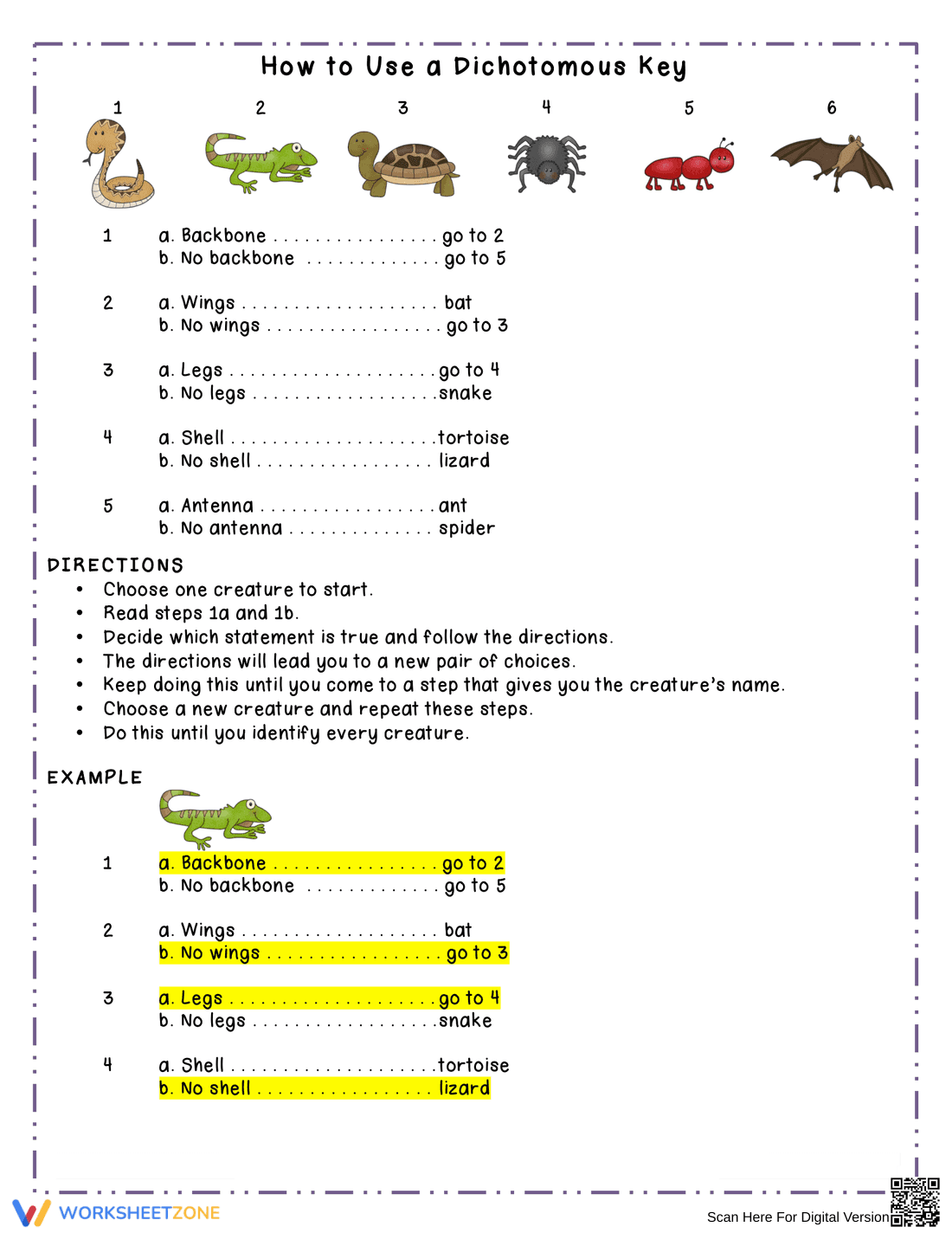 Grade 6-8 Dichotomous Key — Essential No-Prep Worksheet - Page 3