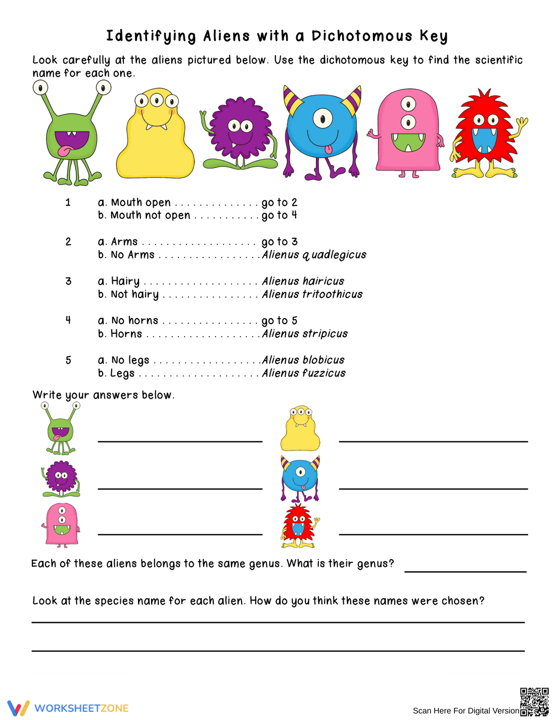 Grade 6-8 Dichotomous Key — Essential No-Prep Worksheet - Page 4