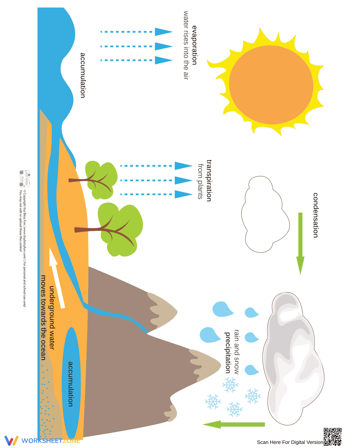 Water Cycle Worksheet (3 Levels) | Grade 5 Ready - Page 10