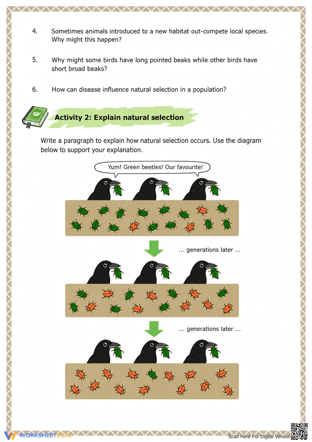 Printable Natural Selection Worksheet | Grade 7-9 Science - Page 3