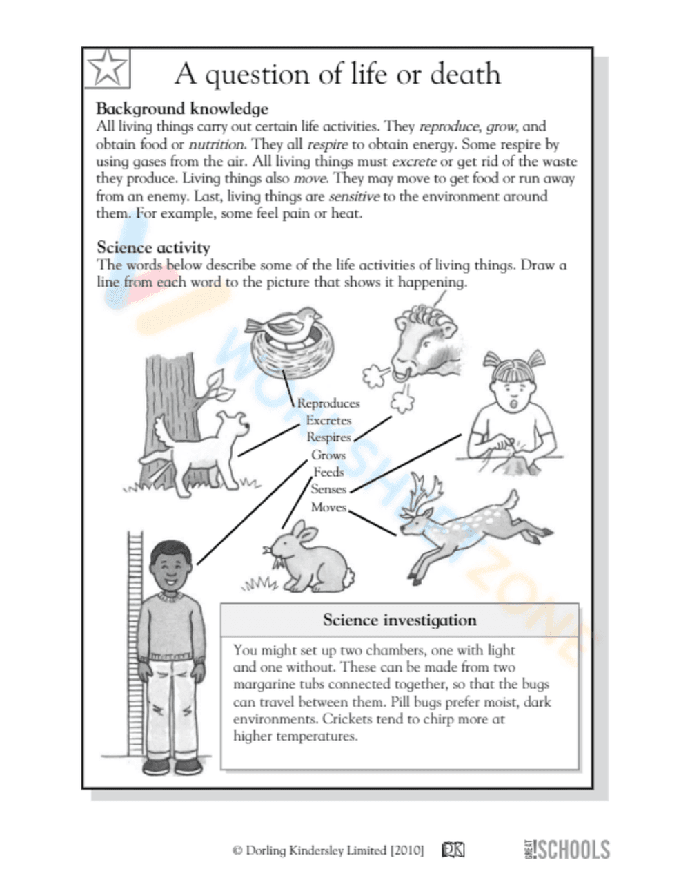 Life Processes of Living Things Worksheet - Page 2