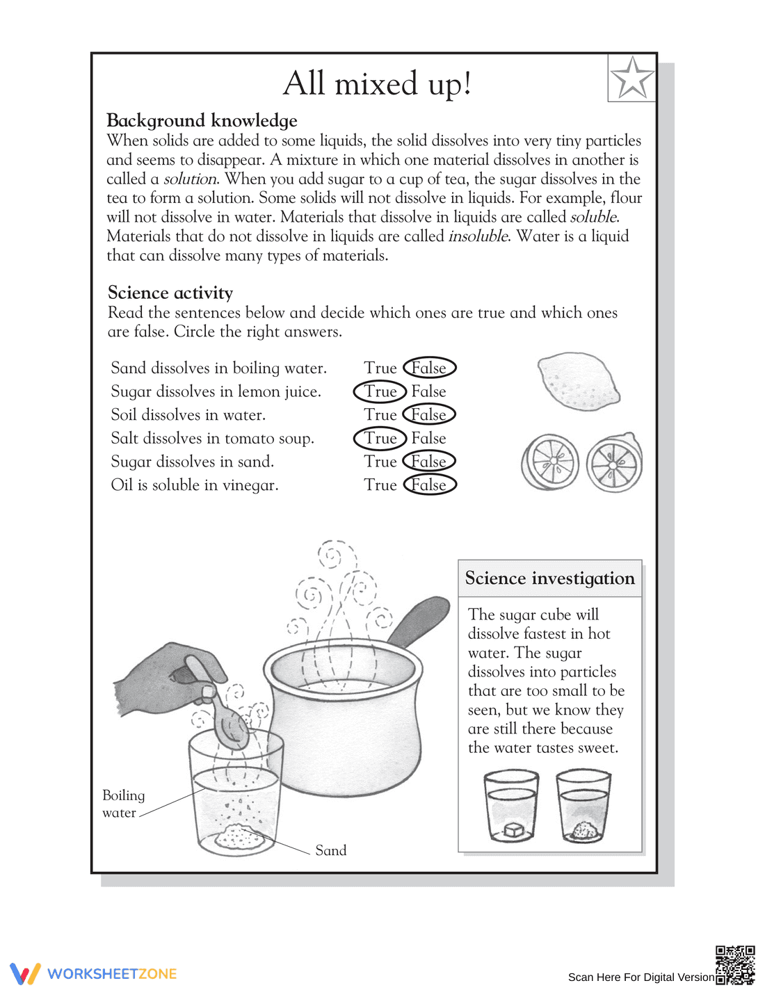 Solubility Science Worksheet - Page 2