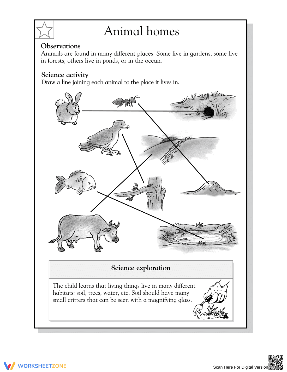 Printable Animal Homes Worksheet | Grade 2 Science - Page 2