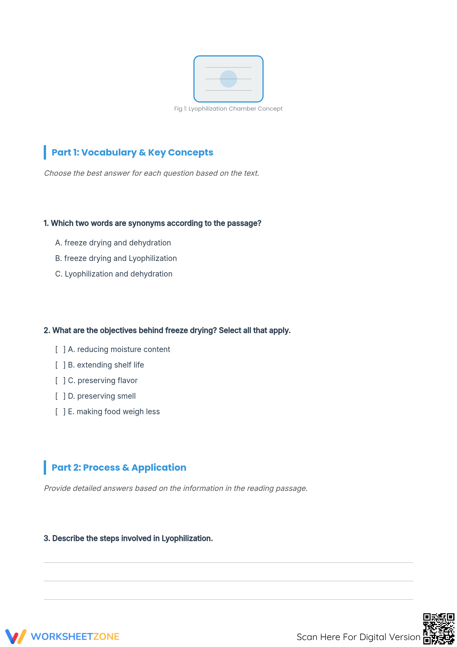 Grade 7 Informational Text — Printable No-Prep Worksheet - Page 2