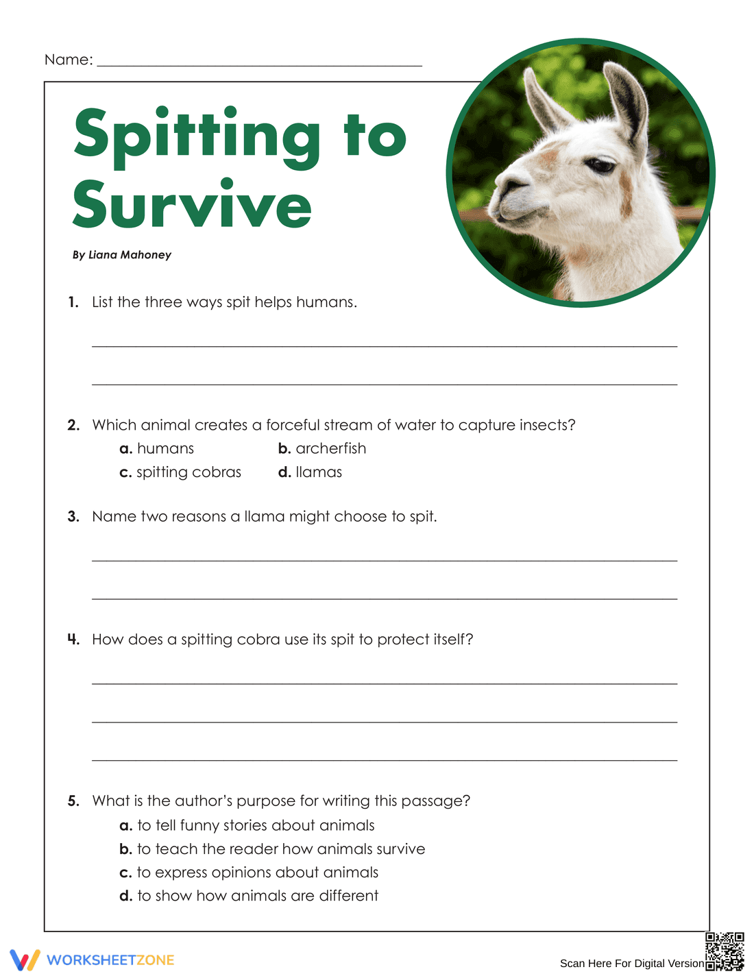 Grade 5 Reading Comprehension — Printable No-Prep Worksheet - Page 3