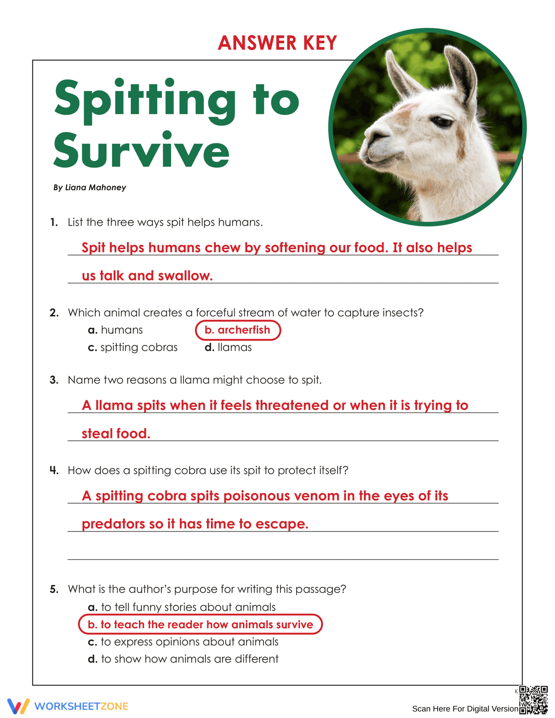 Grade 5 Reading Comprehension — Printable No-Prep Worksheet - Page 4
