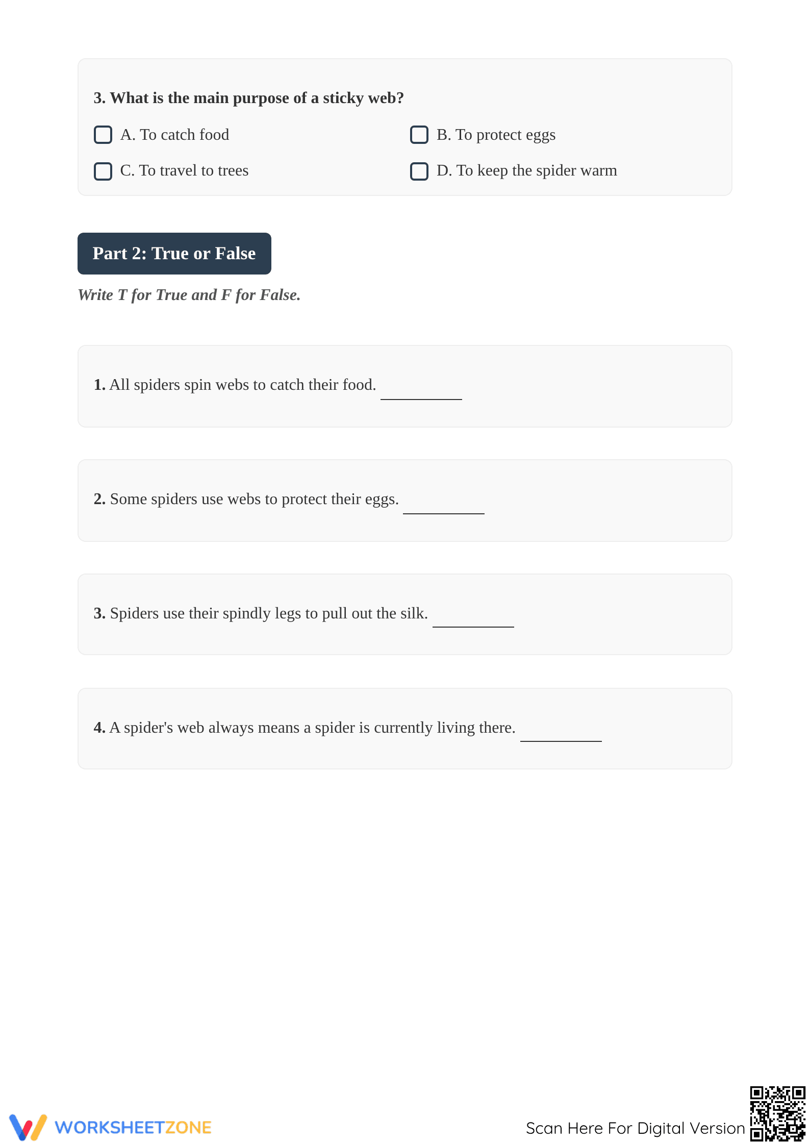 Grade 4 Reading Comprehension: The Spider's Web (Essential) - Page 3
