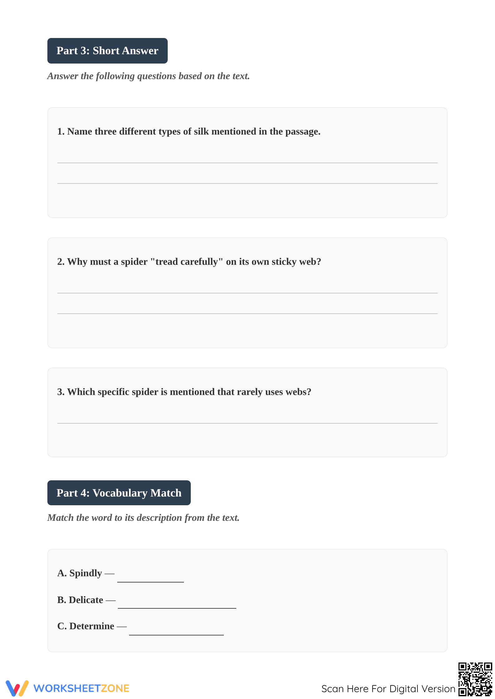 Grade 4 Reading Comprehension: The Spider's Web (Essential) - Page 4