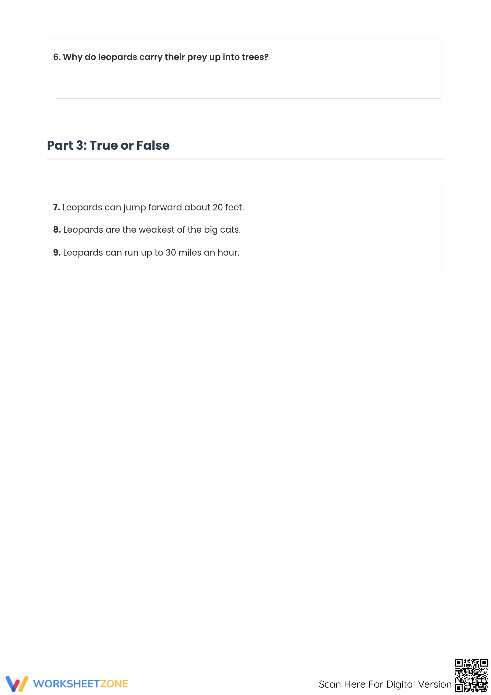Grade 4 Leopard Facts — Printable No-Prep Worksheet - Page 3