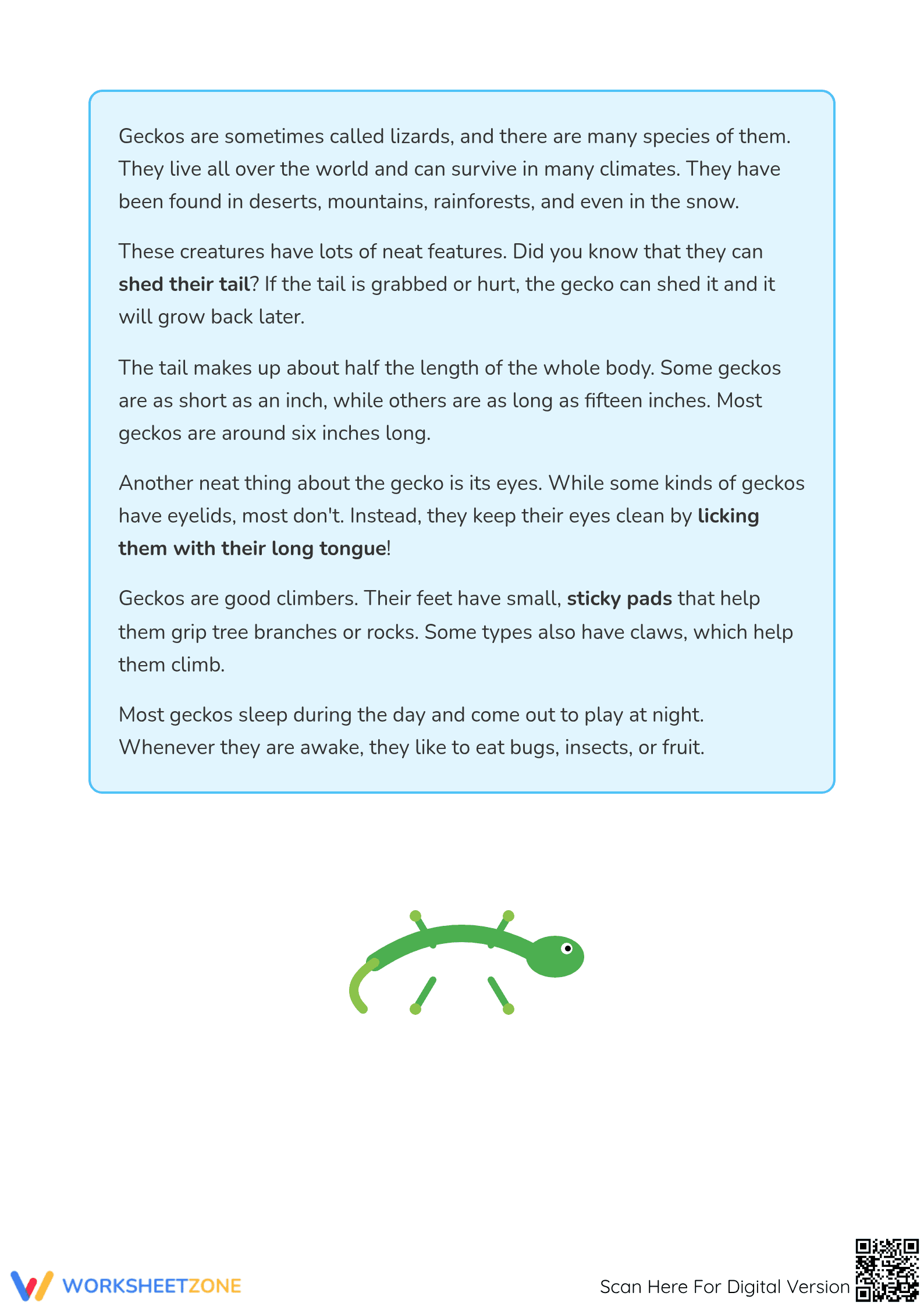 The Gecko Reading Comprehension | Essential Grade 3 ELA - Page 2