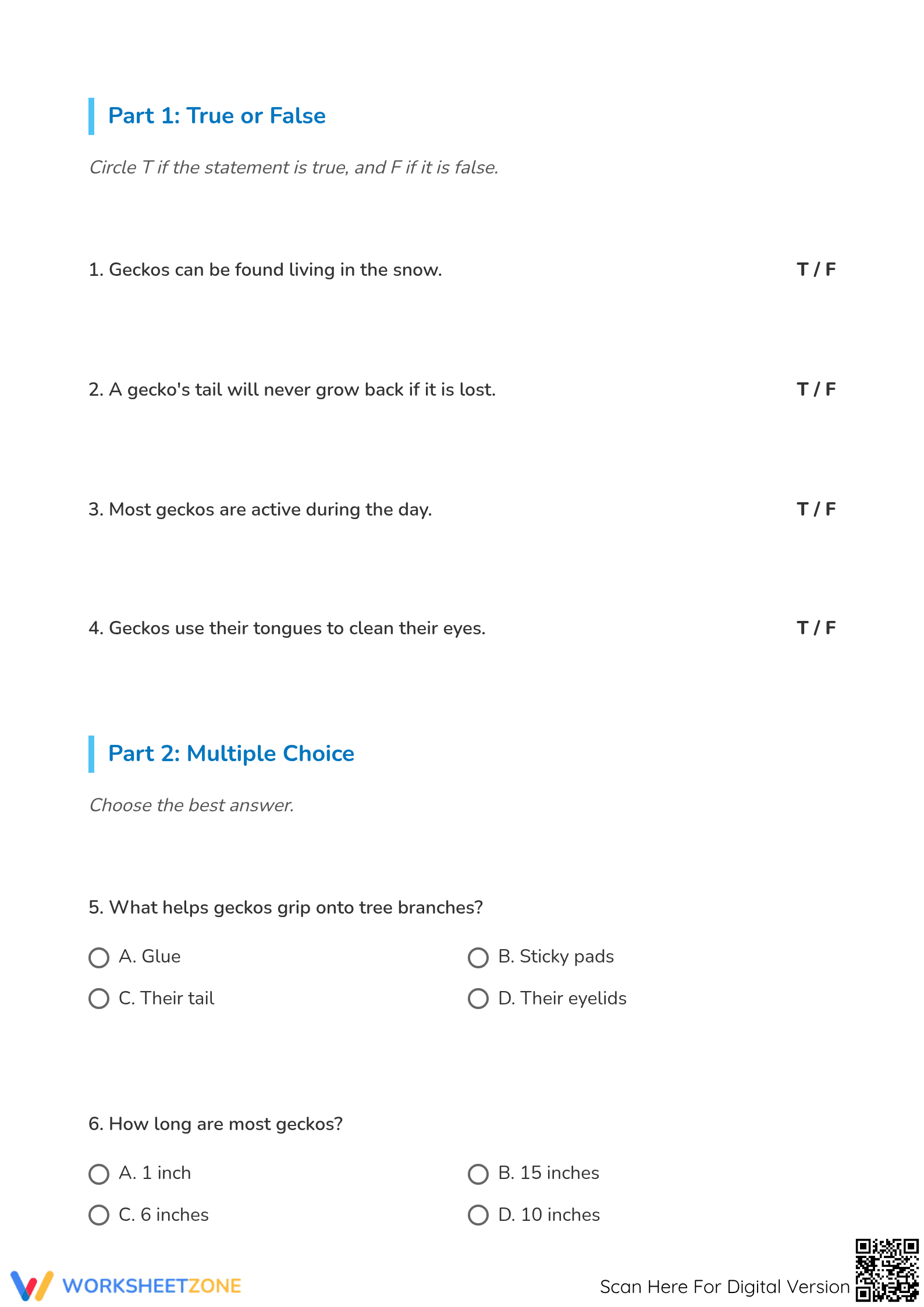 The Gecko Reading Comprehension | Essential Grade 3 ELA - Page 3